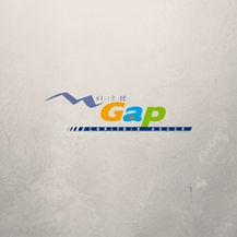 Logo Gap